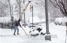 Mỹ: Bão tuyết hoành hành tại Masachusetts