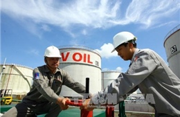 PTT Hoàng Trung Hải chỉ đạo vấn đề điện và dầu khí 