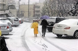 Mưa tuyết trên diện rộng ở Nhật Bản