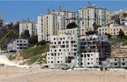 Mỹ lên án kế hoạch xây nhà định cư mới của Israel 