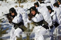 Trung - Mỹ tham vấn về kiểm soát vũ khí và an ninh
