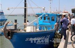 Ngư dân Bình Thuận tiếp cận tàu cá vỏ composite 