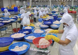 Trao đổi thương mại Việt-Nga hướng tới 10 tỷ USD năm 2020 