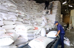 Lào Cai cấp phát 162 tấn gạo được Chính phủ hỗ trợ 