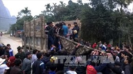 Ba người chết do sập hầm khai thác đá xanh ở Thanh Hóa