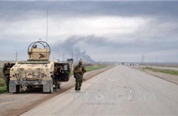 Iraq kêu gọi liên quân tăng cường hỗ trợ chống IS 