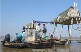 Tìm kiếm nạn nhân bị lật thuyền chở ngao ở Thái Bình 