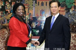 Thủ tướng tiếp Giám đốc Ngân hàng Thế giới tại Việt Nam 