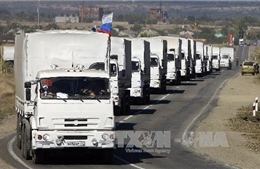 Nga lập đoàn xe cứu trợ thứ 14 cho Donbass 