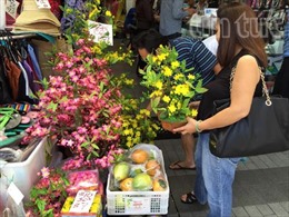 Nhộn nhịp chợ Việt tại Australia dịp đón Xuân Ất Mùi