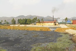 Chấm dứt việc gây ô nhiễm môi trường ở Công ty Mía đường Sơn La