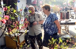 Hoa cảnh nườm nượp đổ về thành phố