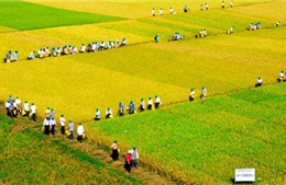 Đồng bào Khmer chung tay đổi thay phum, sóc