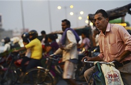 Bị đuổi việc sau... 24 năm không đến cơ quan