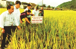 Đồng hành với sự nghiệp phát triển nông nghiệp, nông thôn Hà Giang