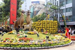Thành phố Hồ Chí Minh rực rỡ sắc màu đường hoa