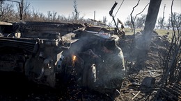 OSCE giám sát tình hình tại Đông Ukraine