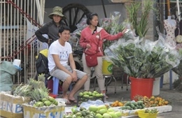 TP Hồ Chí Minh: &#39;Nóng&#39; thị trường hoa quả trưng Tết