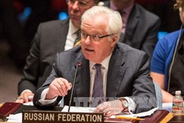 Nga, Séc phản đối triển khai lực lượng hòa bình tới Ukraine 