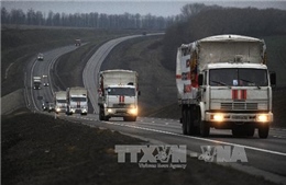 Chuyến hàng viện trợ đầu tiên của LHQ đến miền Đông Ukraine 