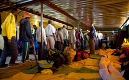 Giải cứu 486 thợ mỏ mắc kẹt trong mỏ vàng Nam Phi 