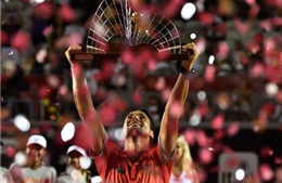 David Ferrer vô địch giải Rio mở rộng