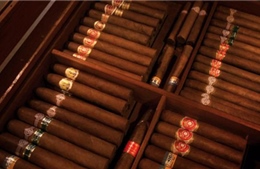 Tòa án Mỹ ra phán quyết có lợi cho doanh nghiệp xì gà Cuba 