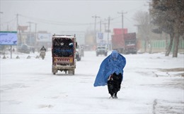 Tuyết lở vùi chết 124 người Afghanistan