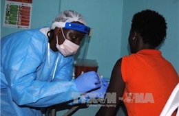 Thảo dược Đông y ngăn chặn virus Ebola 
