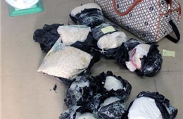 Bắt vụ vận chuyển gần 500 viên ma túy từ Lào 
