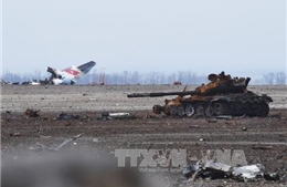 Tìm thấy 373 thi thể binh sĩ Ukraine tại sân bay Donetsk 