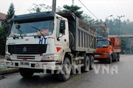 Quảng Ninh: Bắt 13 xe tải chở than trái phép 