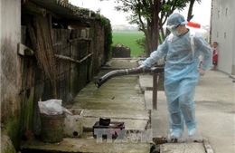 Tại Việt Nam chưa phát hiện chủng virus cúm mới 