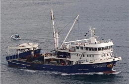Tàu Đài Loan chở 2 thủy thủ Việt mất tích trên Đại Tây Dương 