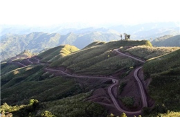 Sức sống mới trên vùng đất khó