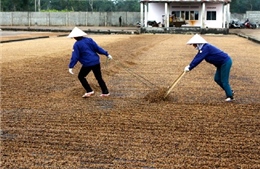 Đời sống của đồng bào Đắk Lắk ngày càng nâng cao