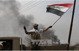 Iraq đoạt Tikrit từ tay IS trong vài ngày tới