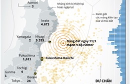 4 năm thảm họa động đất-sóng thần tại Nhật Bản