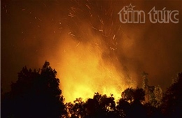 Cháy rừng tái sinh đe dọa hàng chục hộ dân