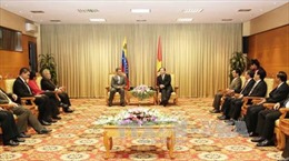 Phó Thủ tướng Hoàng Trung Hải tiếp Phó Tổng thống Venezuela 