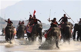 Tưng bừng Hội đua voi huyện Lắk