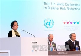 Phó Chủ tịch nước phát biểu tại Hội nghị toàn cầu về rủi ro thiên tai