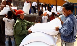 Quảng Bình phân bổ hơn 1.200 tấn gạo cứu đói