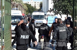 Quốc tế lên án vụ tấn công đẫm máu tại Tunisia