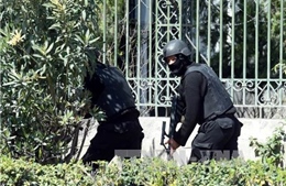 Tunisia xác định danh tính 2 kẻ tấn công bảo tàng Bardo 