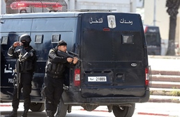Bắt giữ 9 nghi can trong vụ tấn công ở Tunisia 