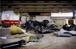 Hà Lan bác tin MH17 bị tên lửa Buk bắn hạ