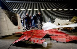 Chuyên gia Hà Lan trở lại hiện trường vụ MH17