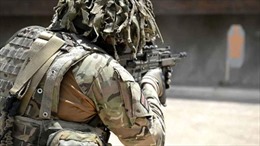  Ủy ban Quốc phòng Hạ viện Anh kêu gọi tái vũ trang cho quân đội