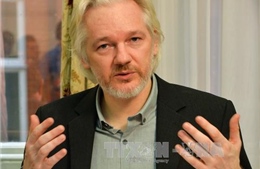 WikiLeaks tố Mỹ cố gây hiềm khích giữa Nga và Ukraine